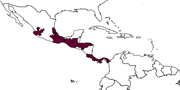 map of Atomacera tria     Smith, 1992